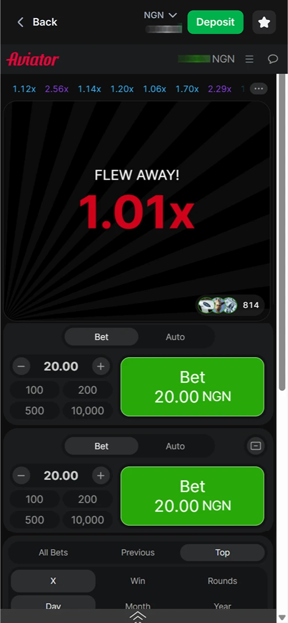 In the Aviator 1win game, the round ends when the plane flies away.