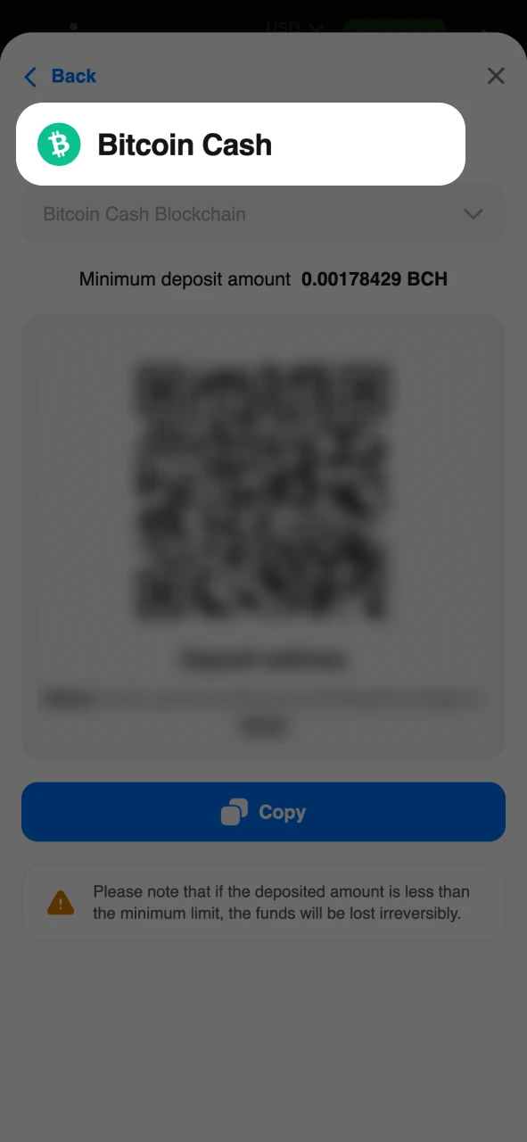 Go to your 1Win profile to make a deposit.