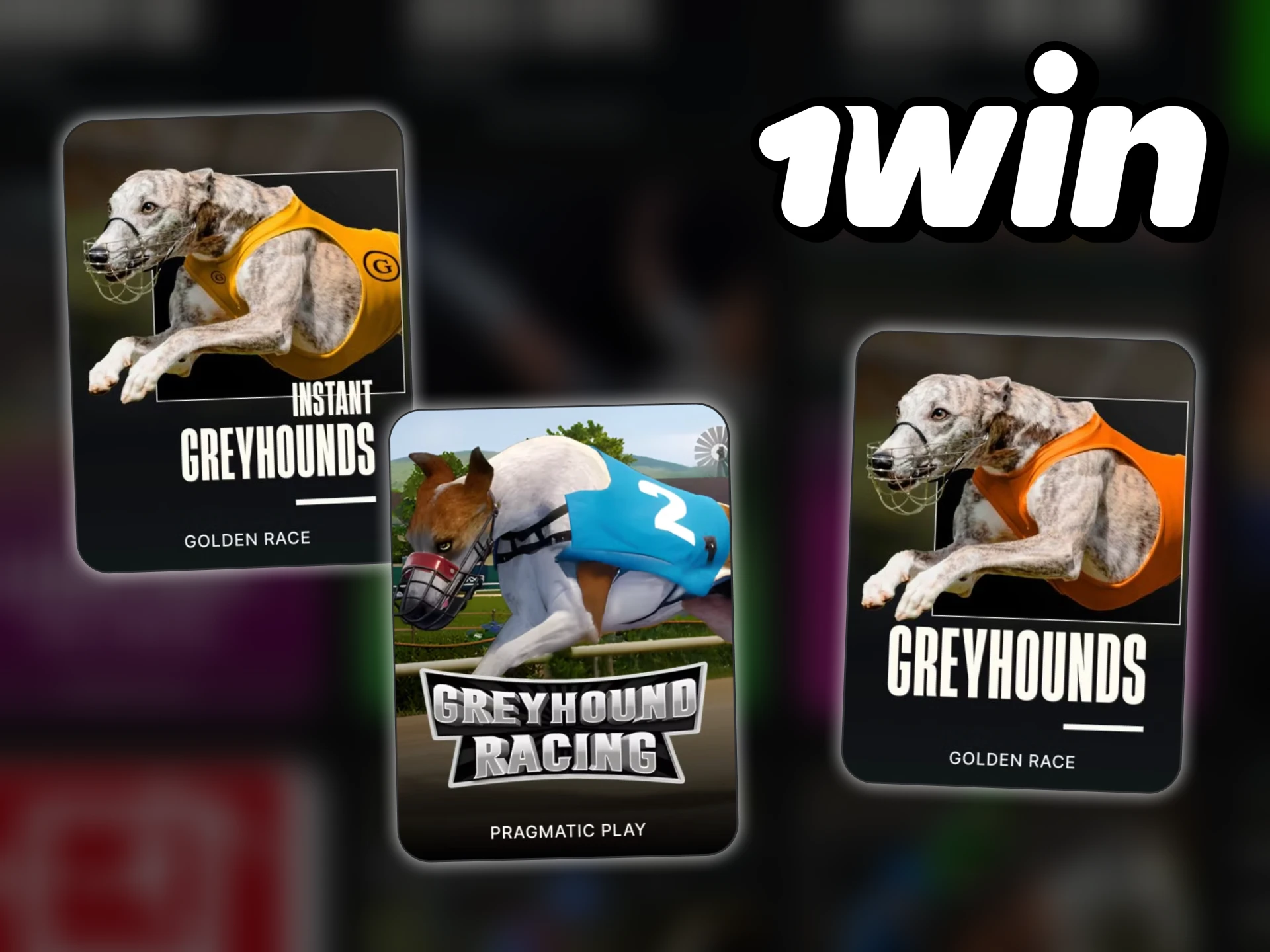 The dog racing category at 1Win is varied.