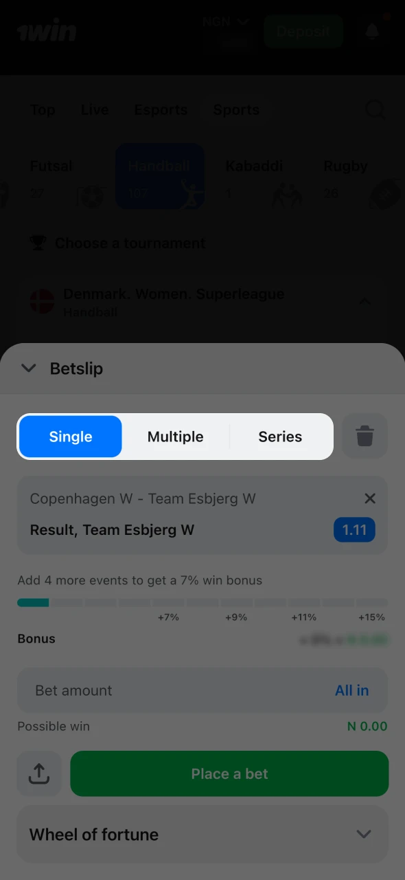 Choose the type of handball bet at 1Win platform.