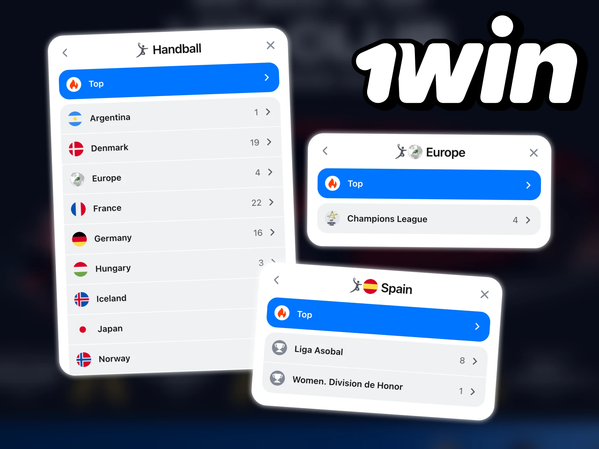 1win offers a wide range of tournaments for handball betting.